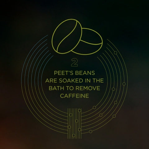 Peet's Water Process Decafs - Water Process Decaffeination, Step 2