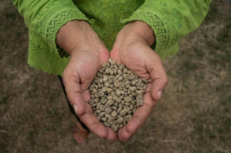 Washed, Natural, and Wet-Hulled Coffee Processing
