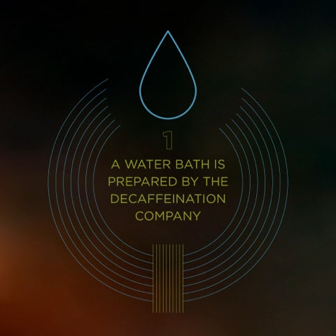 Peet's Water Process Decafs - Water Process Decaffeination, Step 1