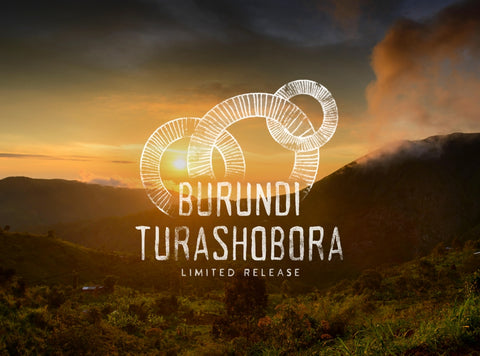 Peet's Burundi Turashobora single origin small batch coffee landscape