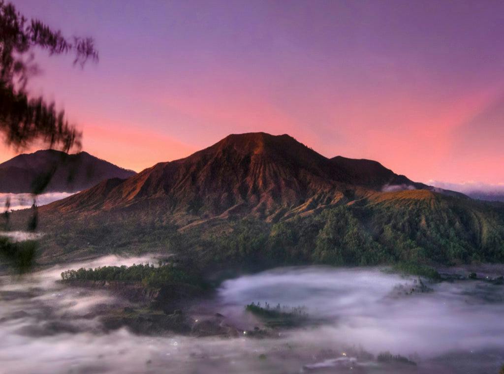 BALI KINTAMANI - JULY'S LIMITED RELEASE COFFEE