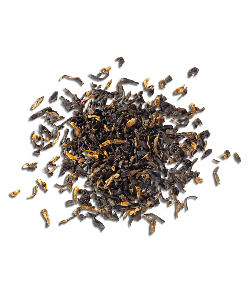 Assam Golden Tip