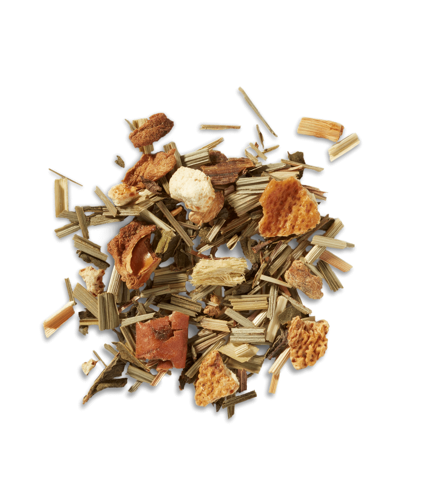 Ginger Twist